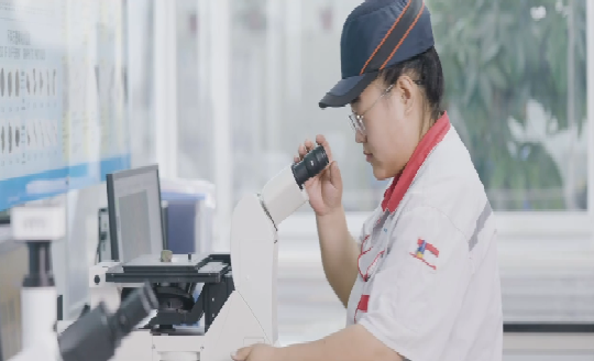 莱卡DMi8金相显微镜